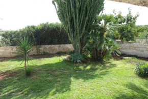 VENDICARIHOUSES